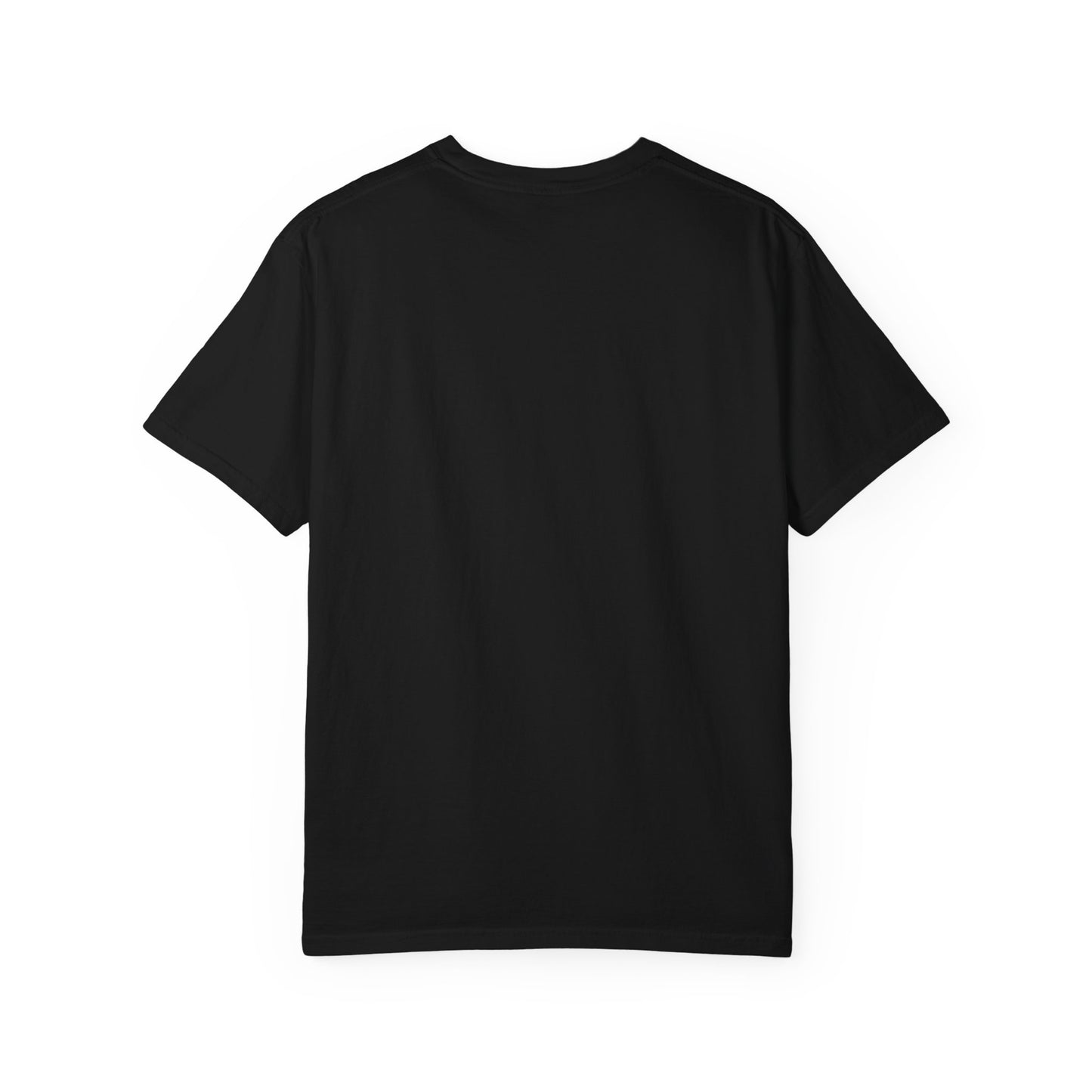 Vintage Alumni T-Shirt, Unisex Garment-Dyed Tee, College Spirit Wear, Casual Everyday Shirt, Gift for Graduates