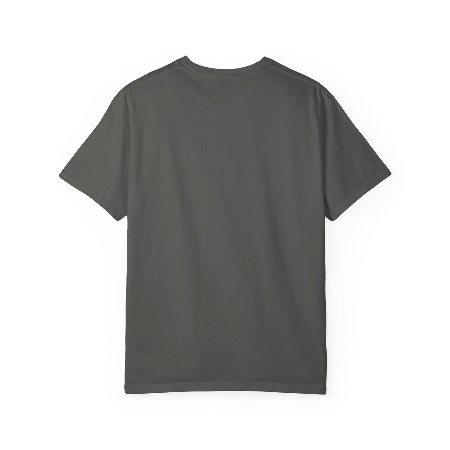 Vintage Alumni T-Shirt, Unisex Garment-Dyed Tee, College Spirit Wear, Casual Everyday Shirt, Gift for Graduates